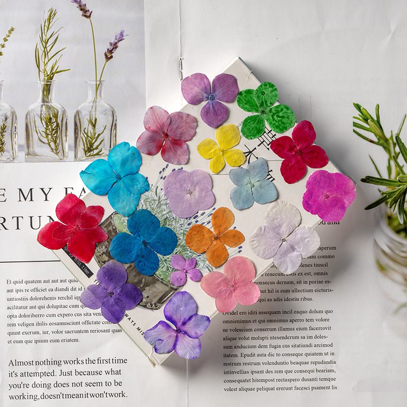60 pièces de fleurs d'hortensi - Dried Flower Bookmark avis et prix