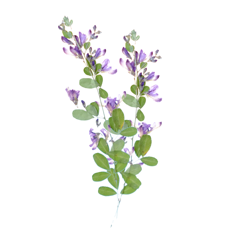 6 pièces, fleurs séchées press - Dried Flower Bookmark avis et prix