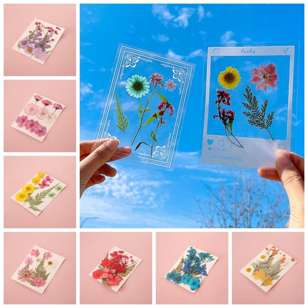 Matériaux DIY : Marque-pages e - Dried Flower Bookmark avis et prix