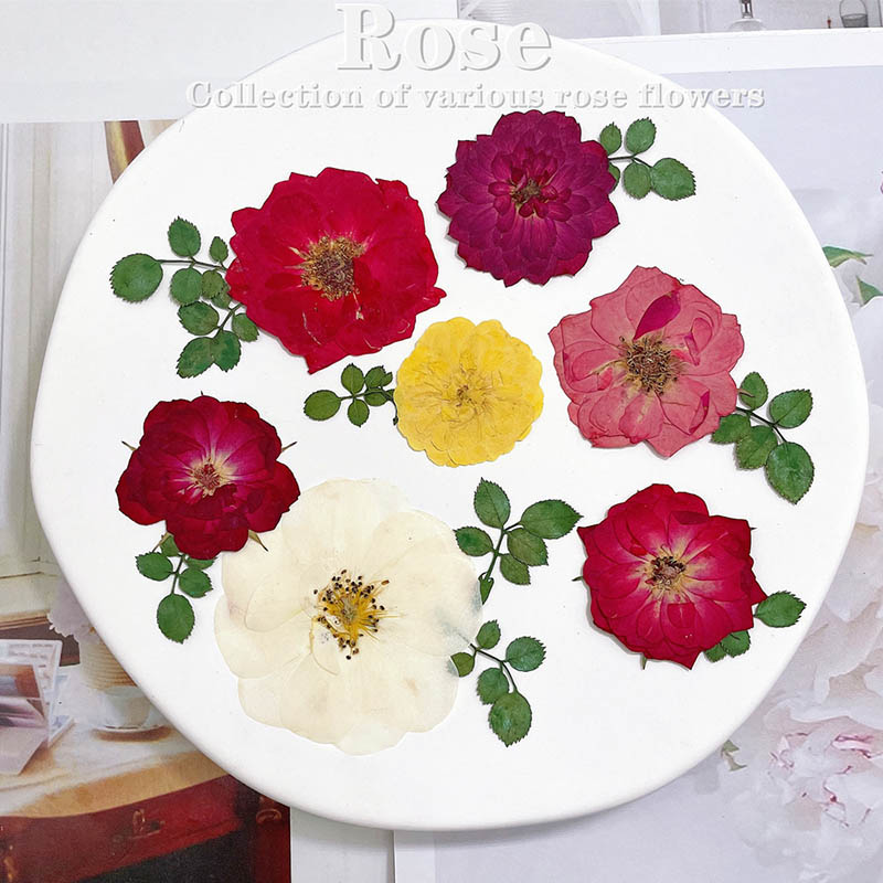 60 pièces pressées séchées rou - Dried Flower Bookmark avis et prix