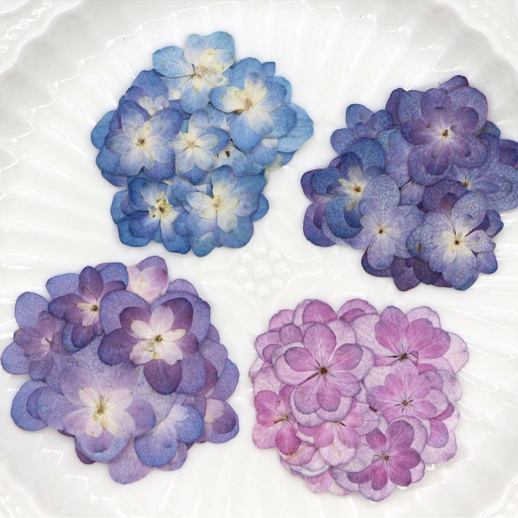 60 mini-hortensias séchés à do - Dried Flower Bookmark avis et prix