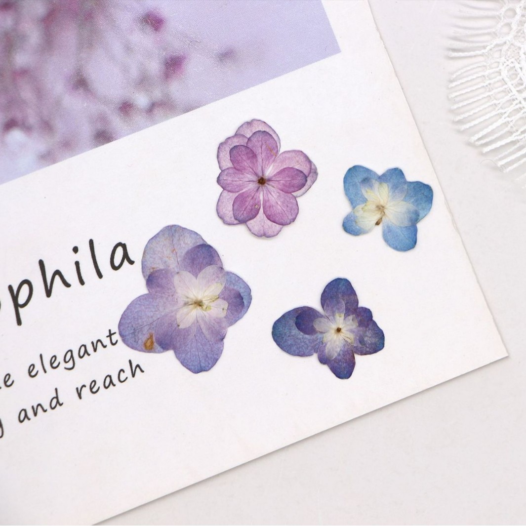 60 mini-hortensias séchés à do - Dried Flower Bookmark avis et prix